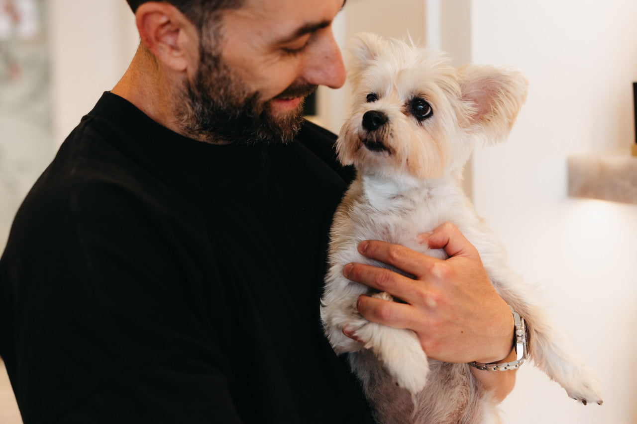 Why Brushing Your Dog’s Coat Matters More Than You Think