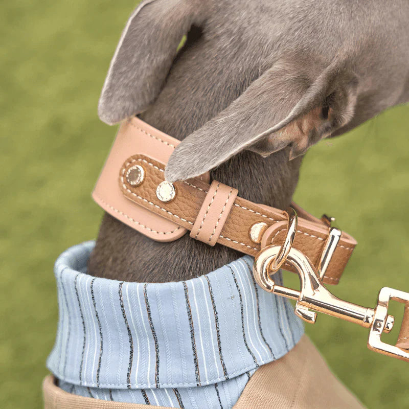 Bondir Leather Collar
