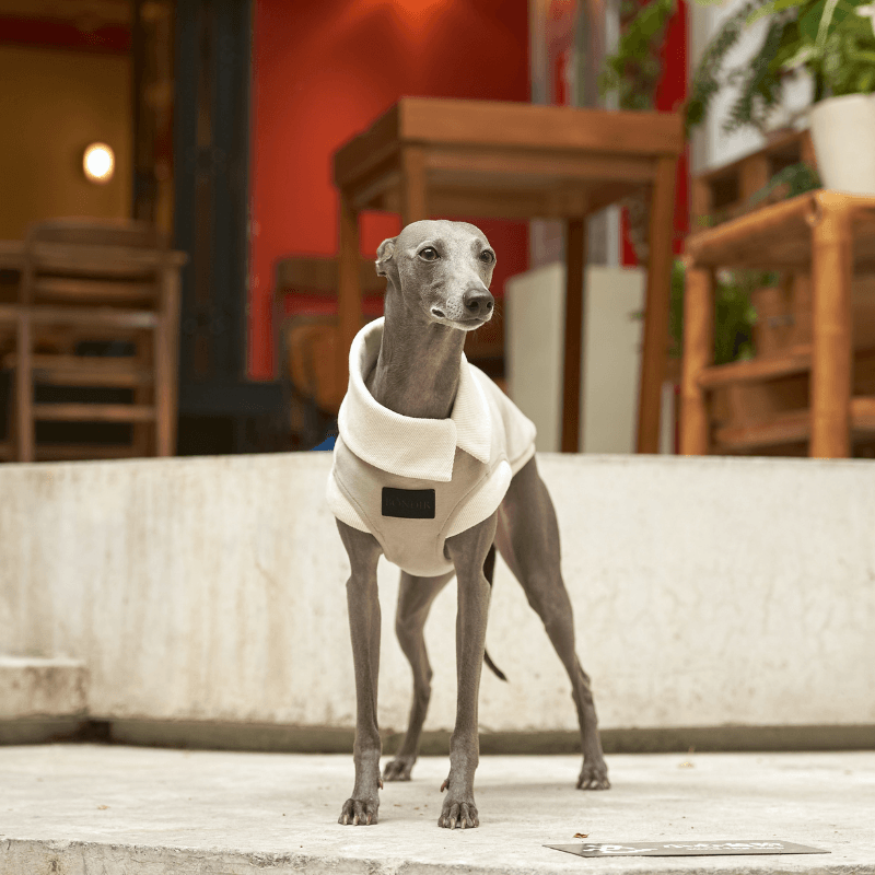 Bondir Asymmetric Collar Tank Top - Ivory