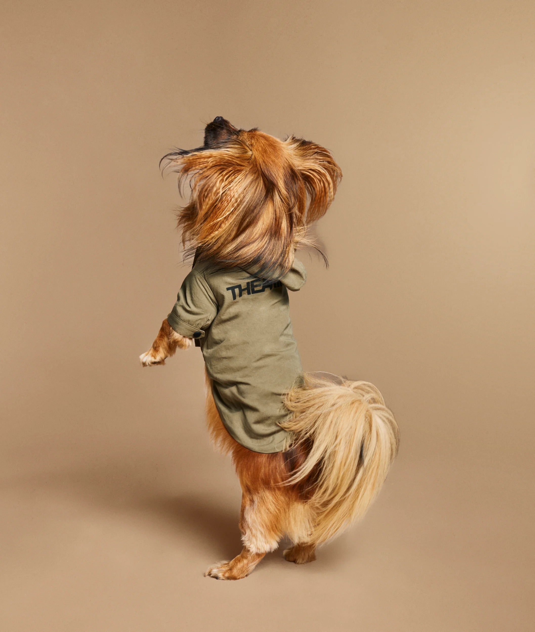 The Animals Logo Light Raincoat