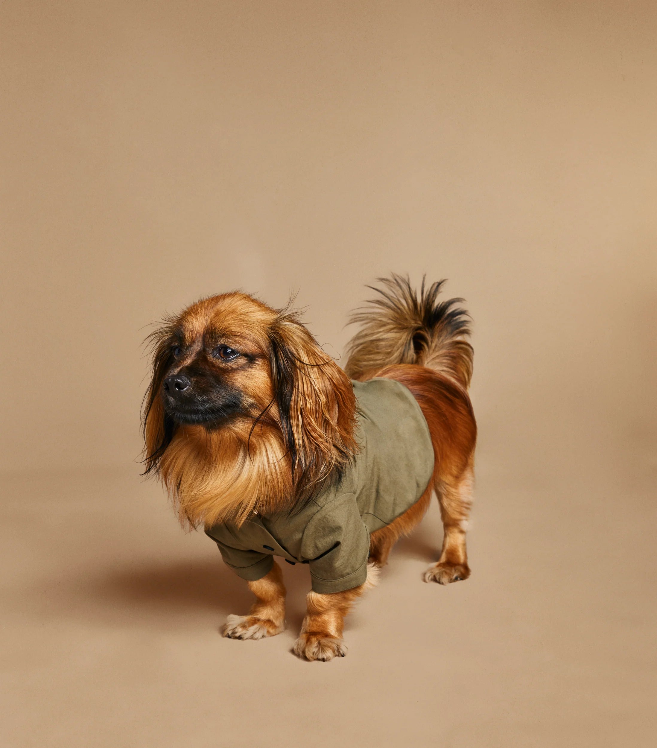 The Animals Logo Light Raincoat