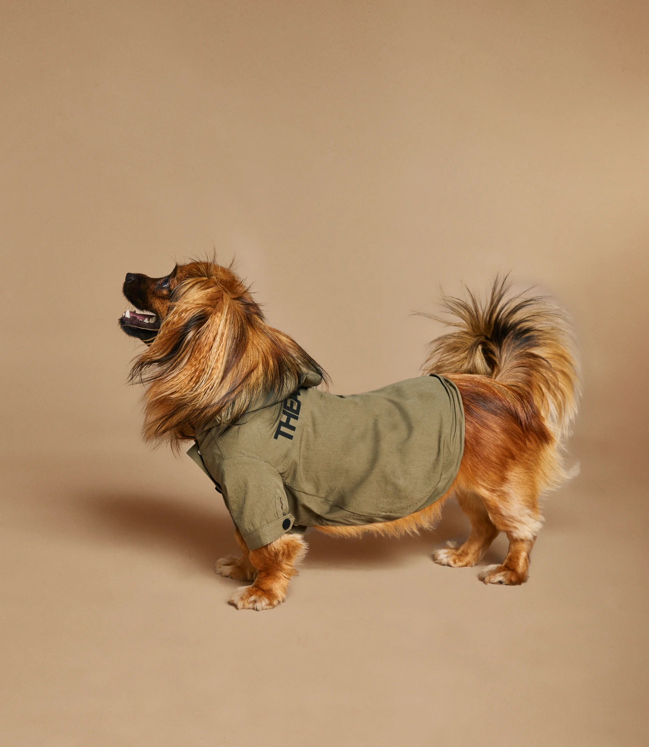 The Animals Logo Light Raincoat