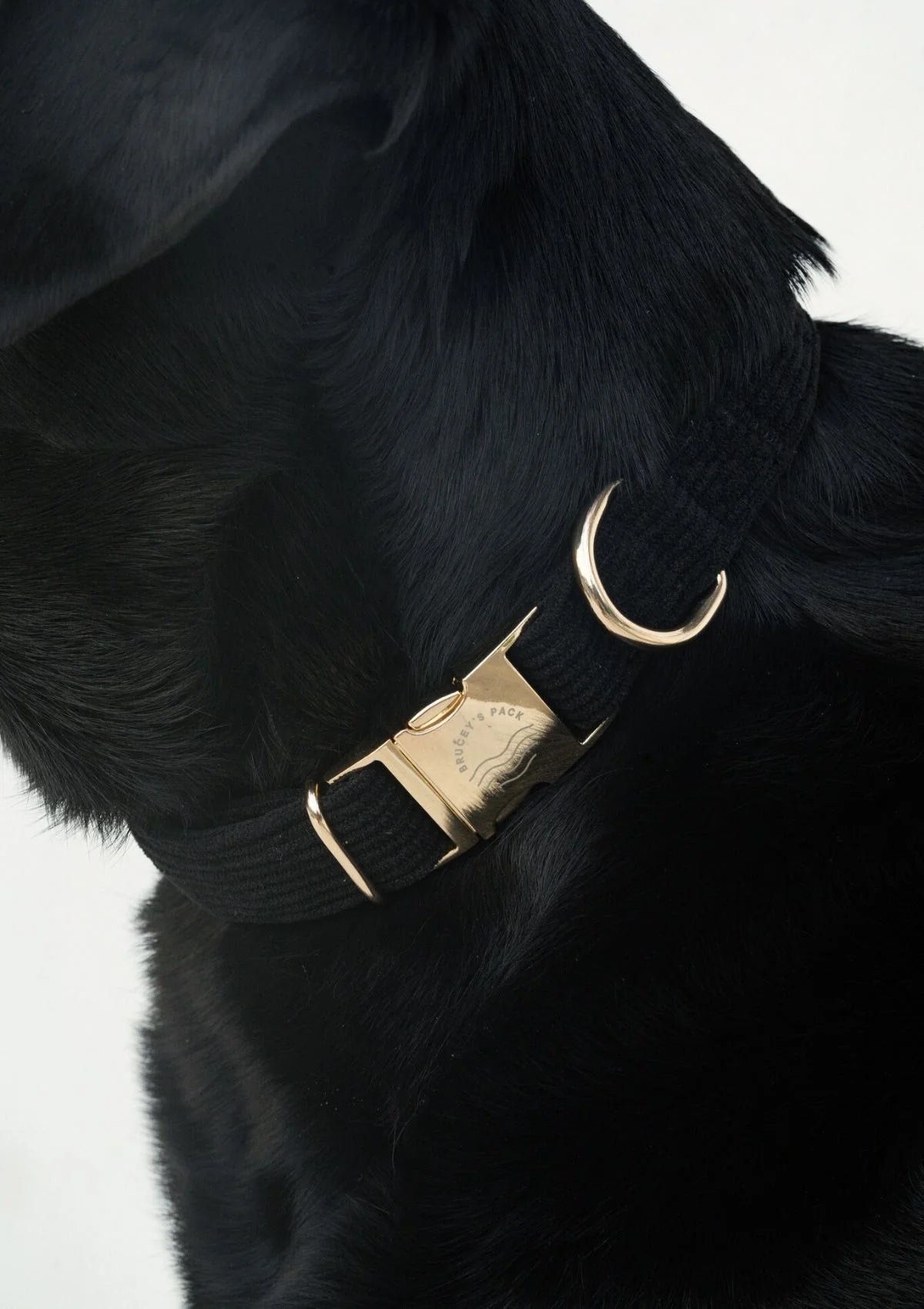 Brucey's Pack Bella Collar