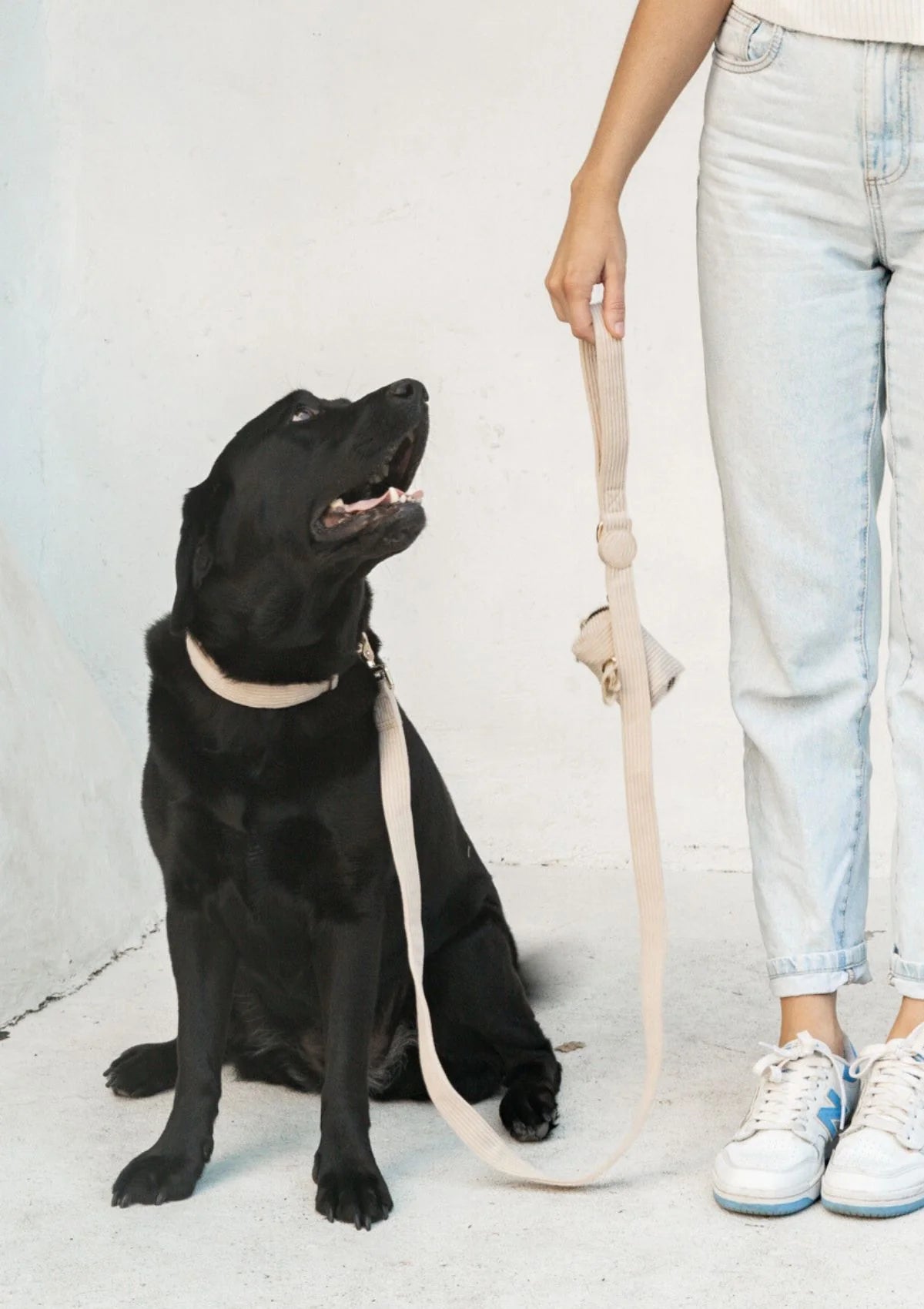 Brucey's Pack Bella Leash