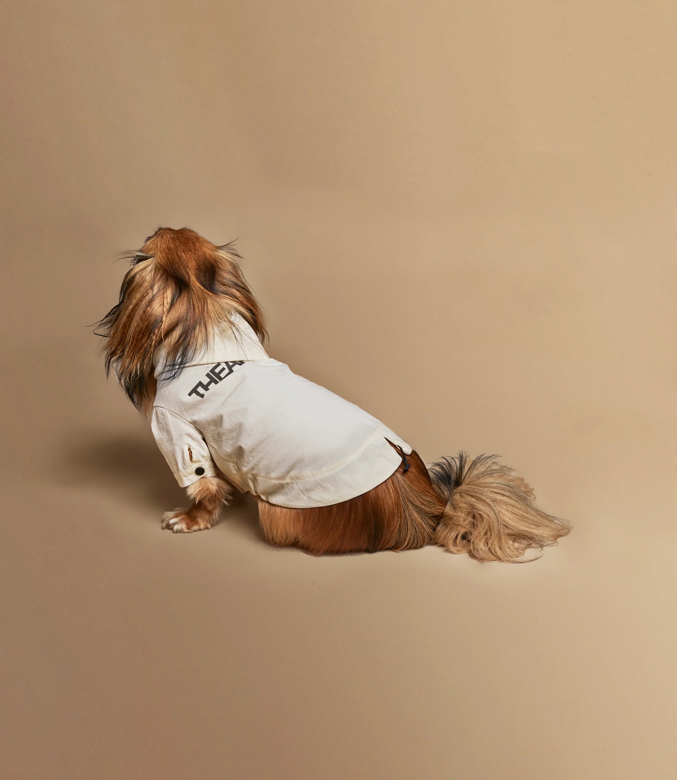 The Animals Logo Light Raincoat