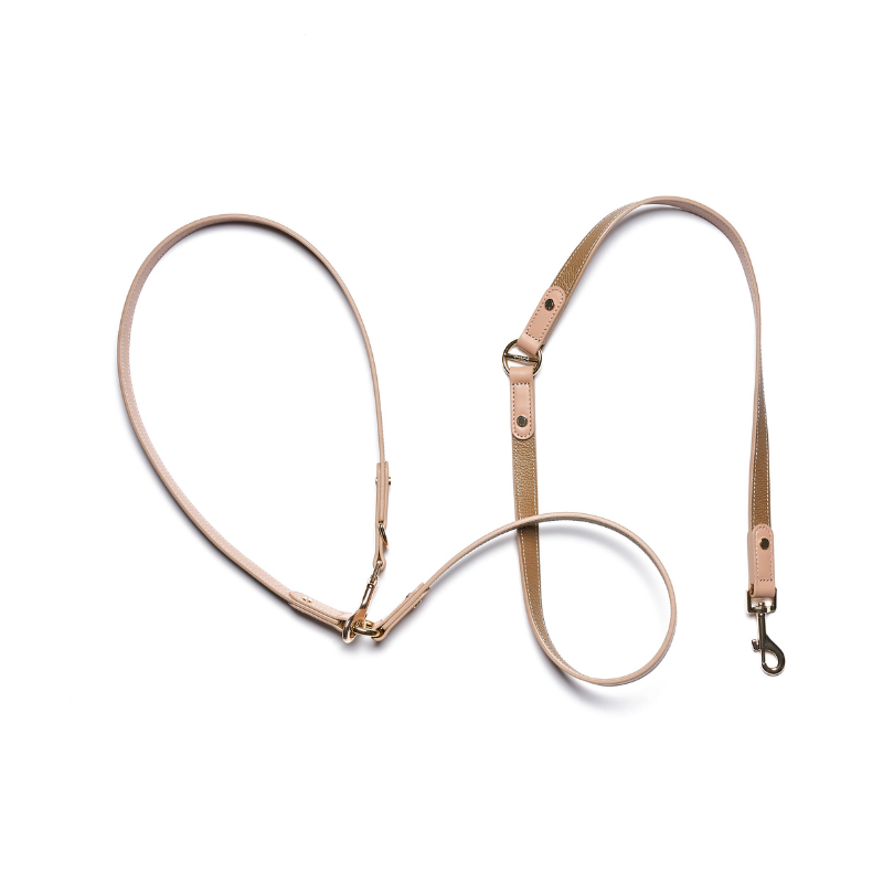 Bondir Hands free Leash