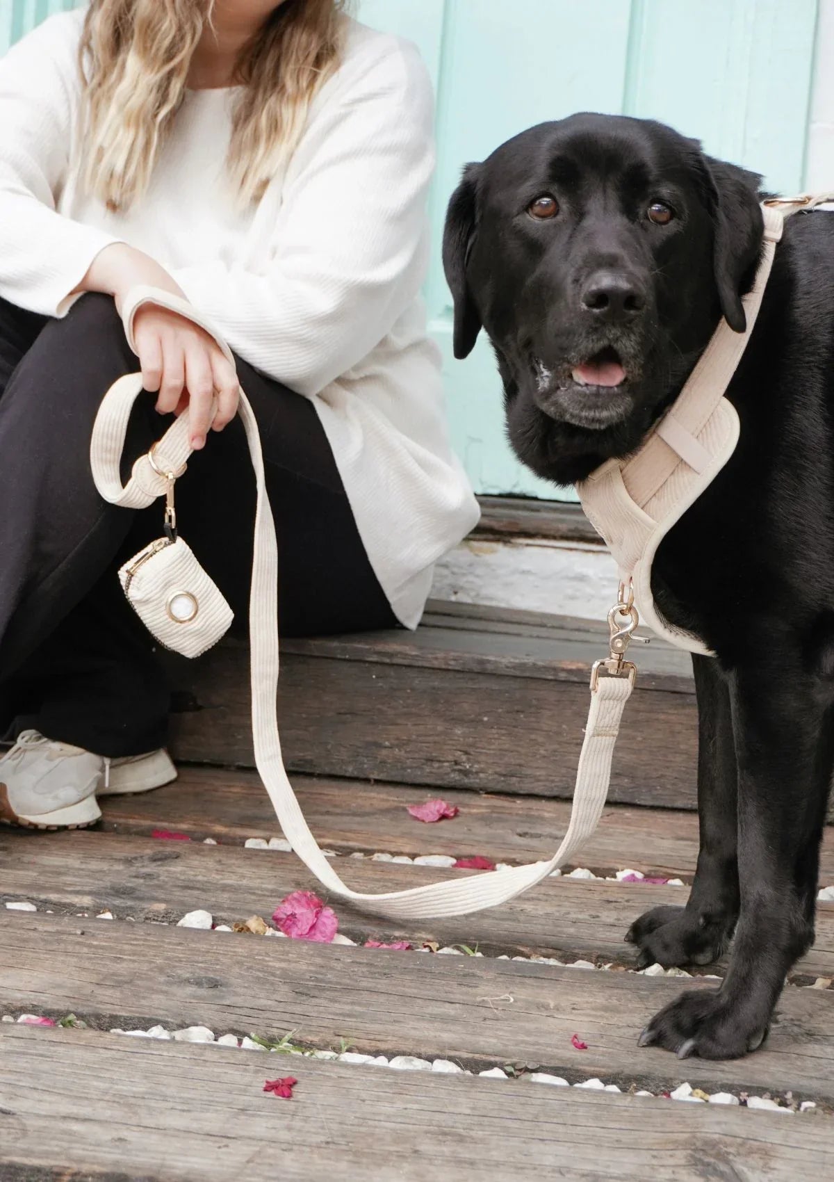 Brucey's Pack Cord No Pull Harness Bella