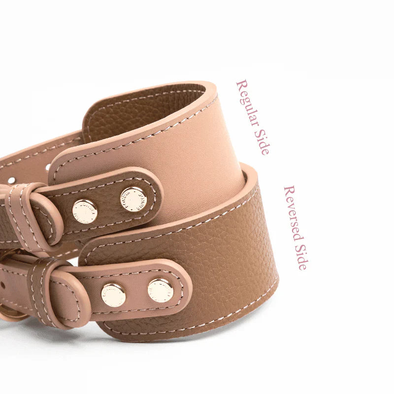 Bondir Leather Collar
