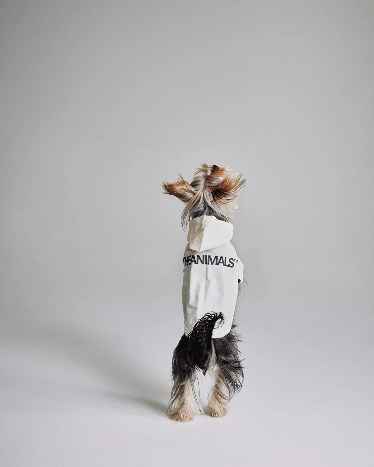 The Animals Logo Light Raincoat