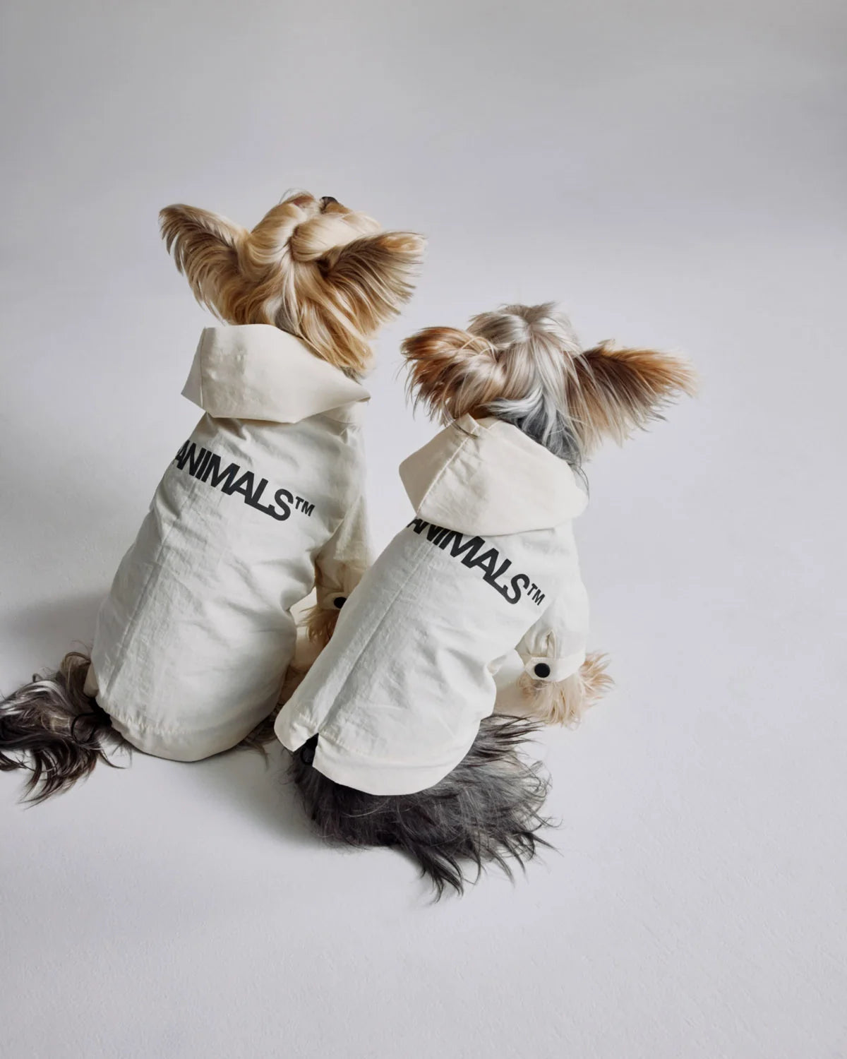 The Animals Logo Light Raincoat