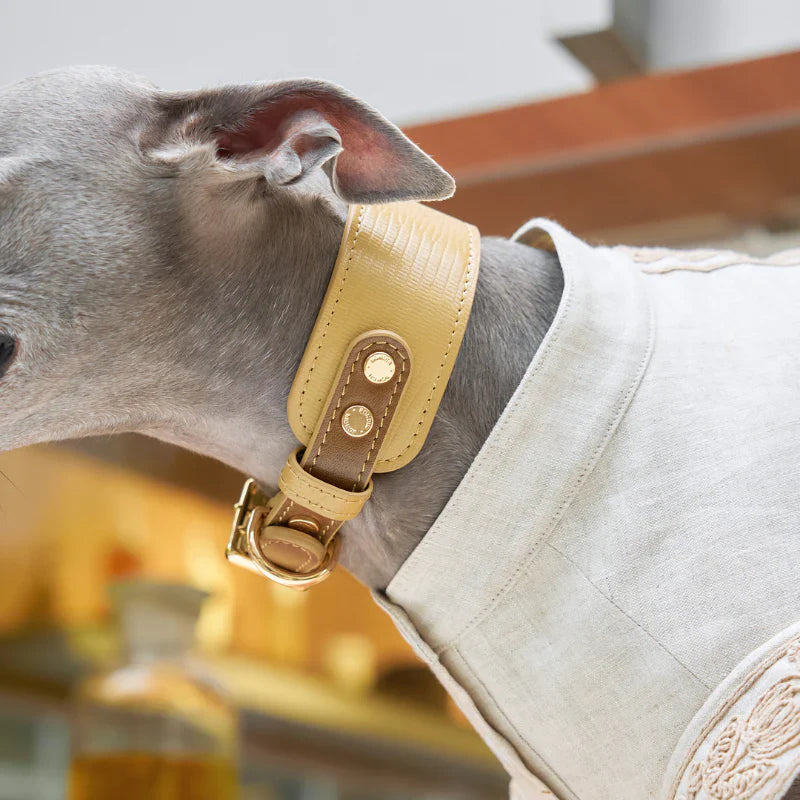 Bondir Leather Collar