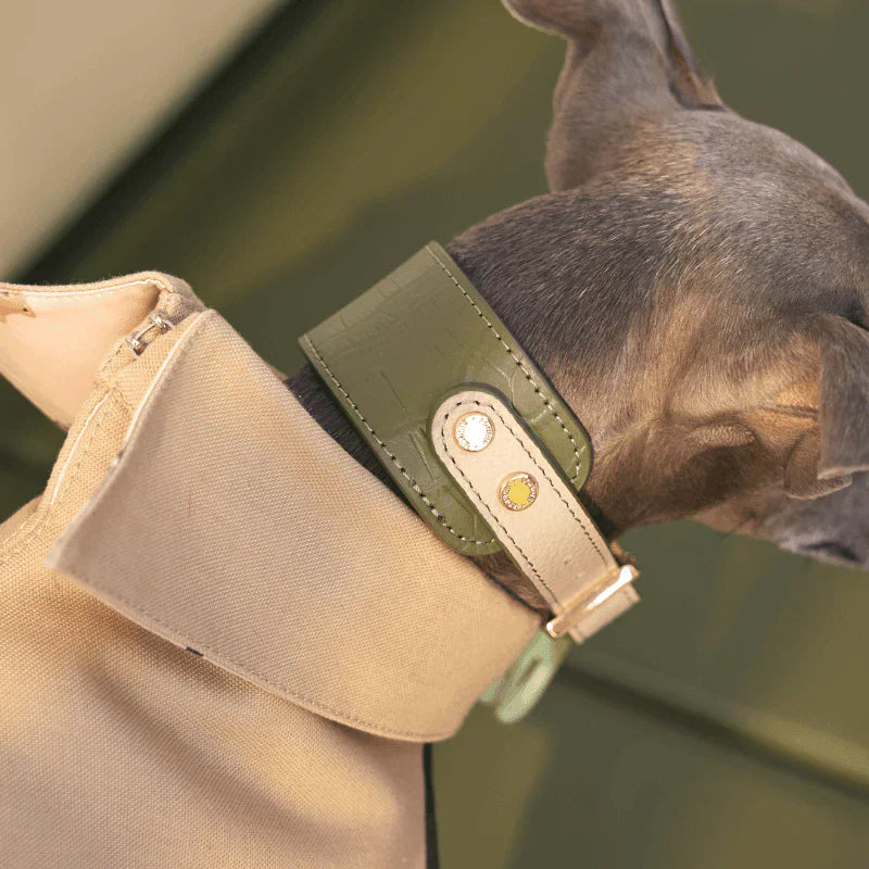 Bondir Leather Collar
