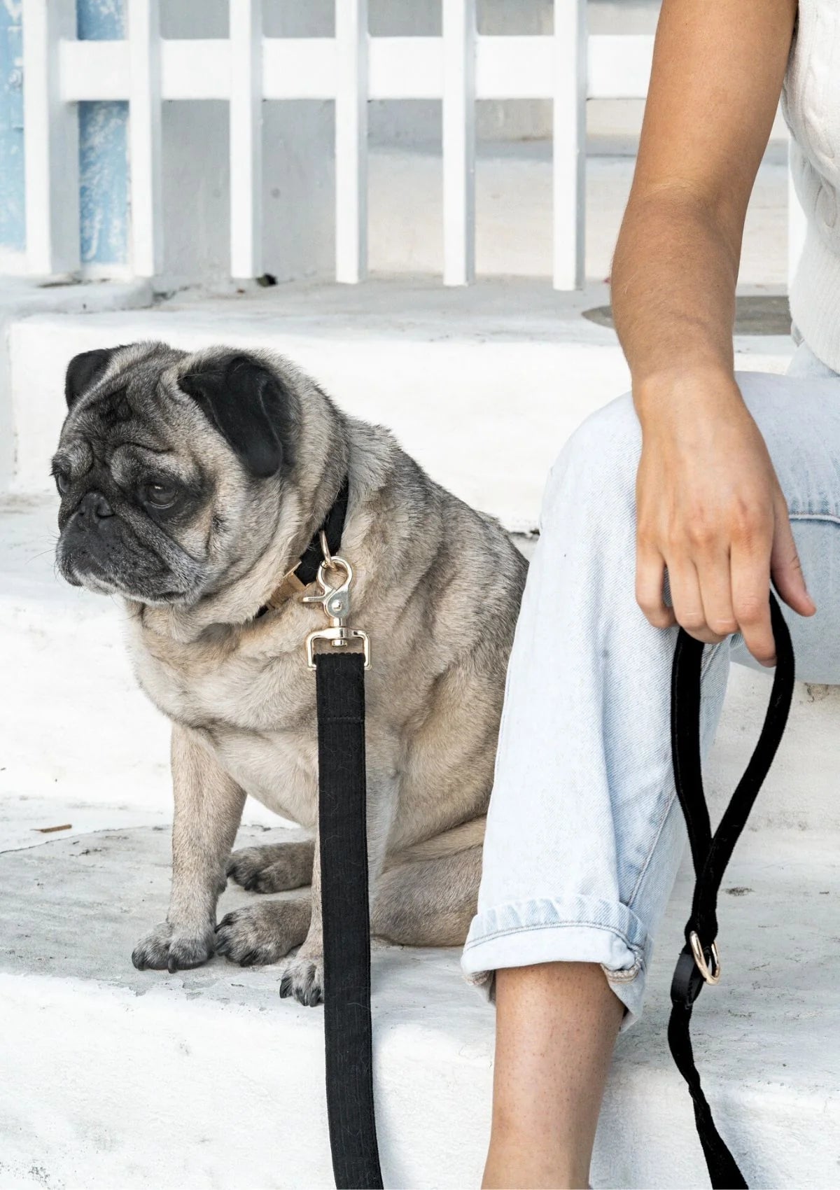 Brucey's Pack Bella Leash