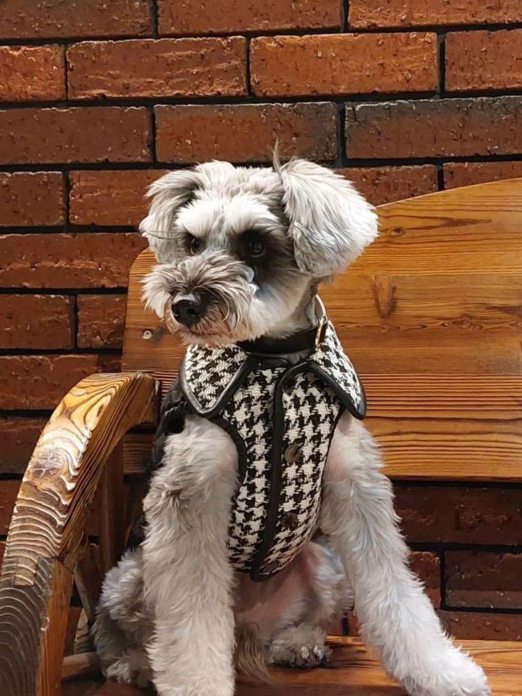Bondir Soho Tweed Padded Vest