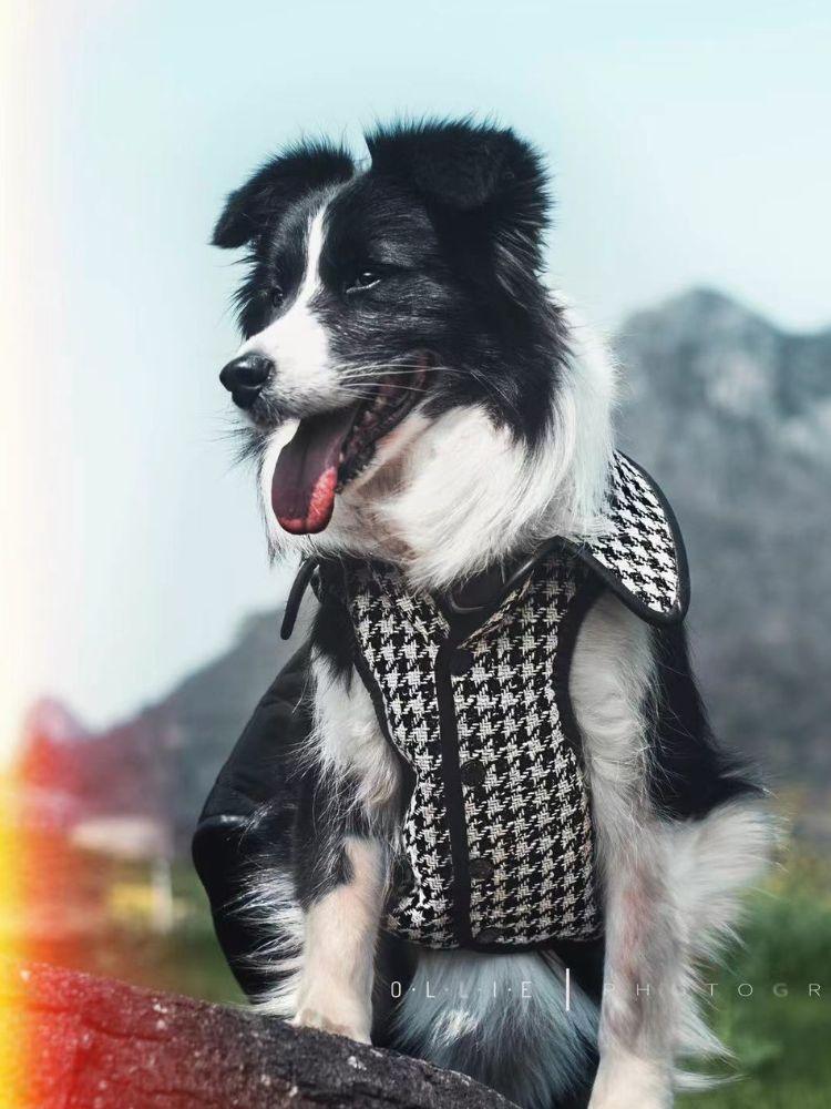 Bondir Soho Tweed Padded Vest