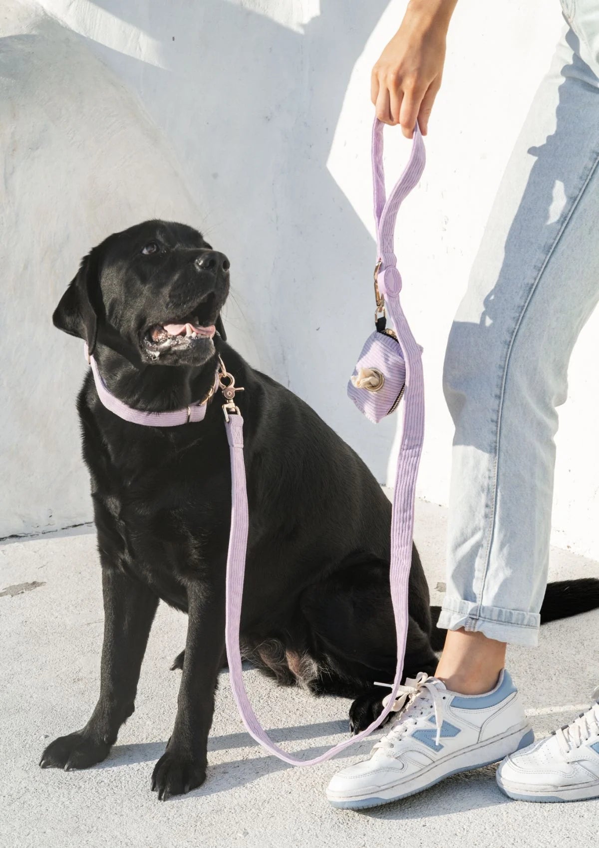 Brucey's Pack Bella Leash