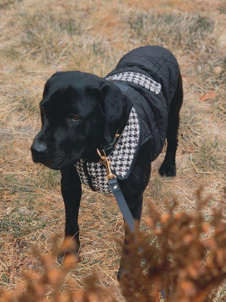 Bondir Soho Tweed Padded Vest