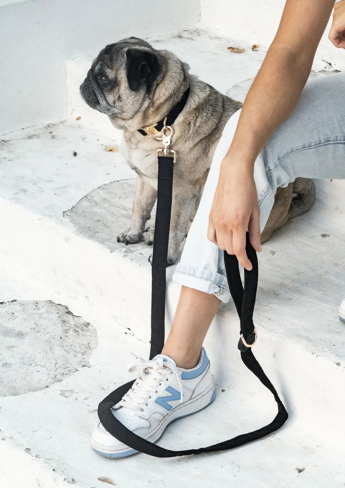 Brucey's Pack Bella Leash