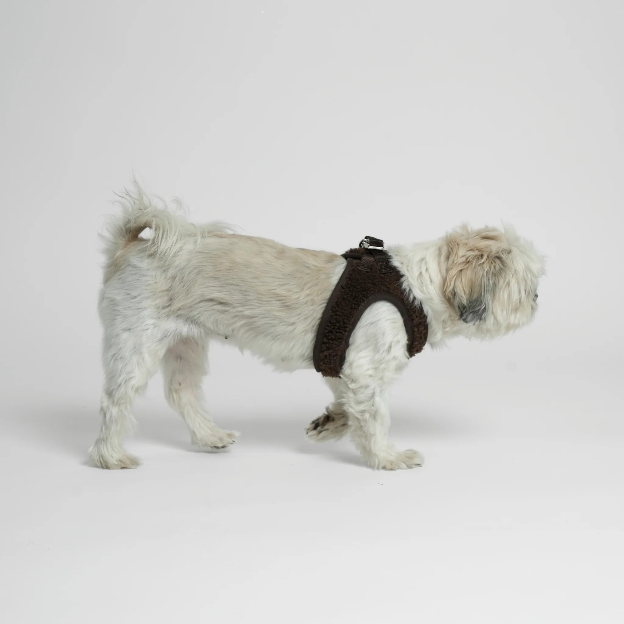 Staey Teddy Step In Harness