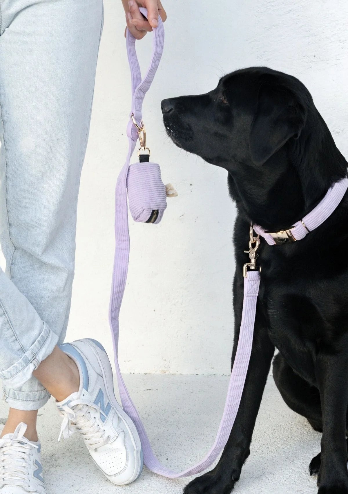 Brucey's Pack Bella Collar Lavender