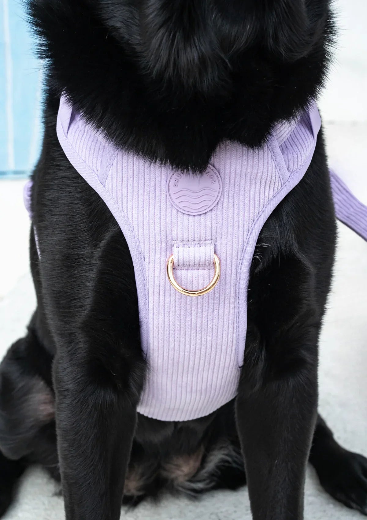 Brucey's Pack Cord No Pull Harness Bella
