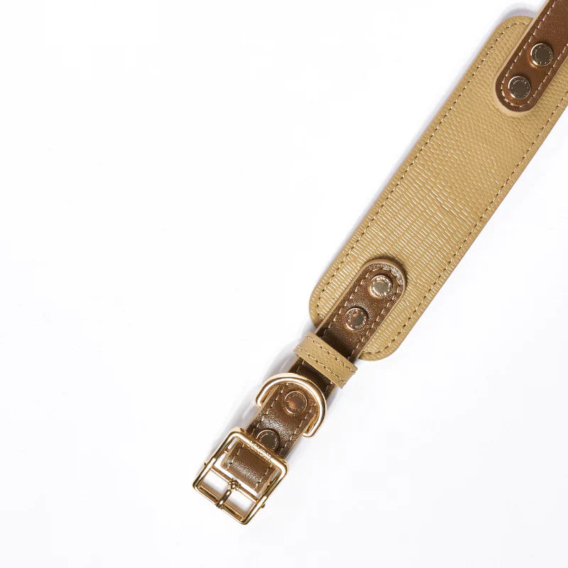 Bondir Leather Collar