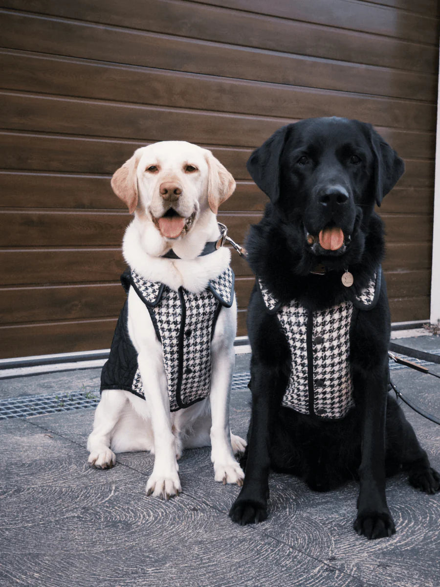 Bondir Soho Tweed Padded Vest