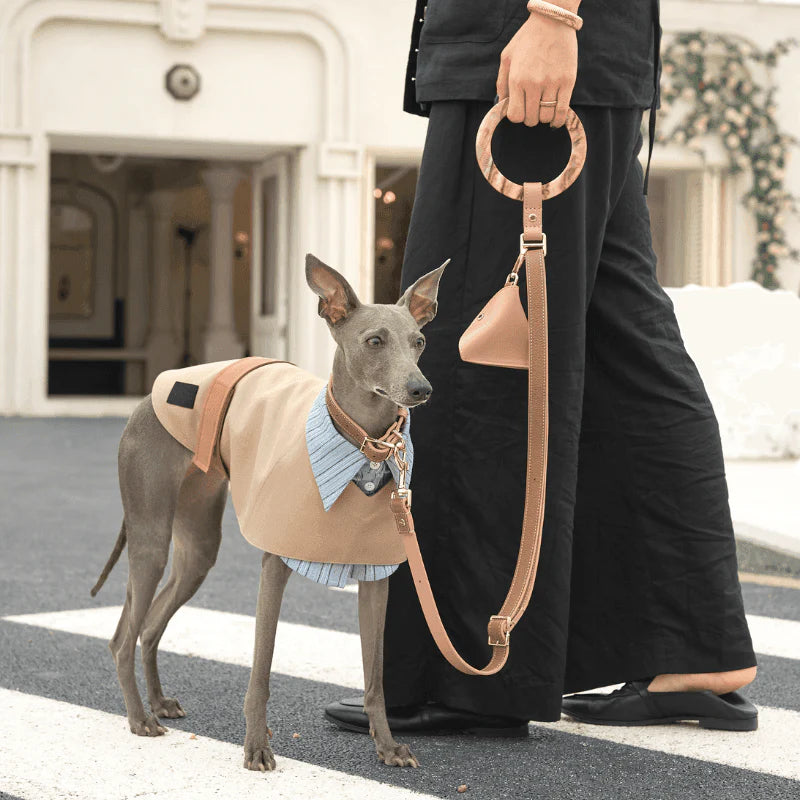 Bondir Leather Leash Blushwood