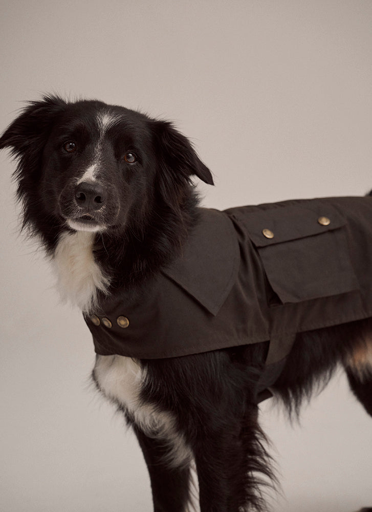 Driza-Bone Apsley Dog Coat Oilskin