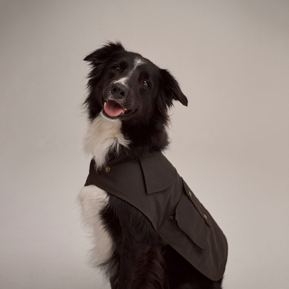 Driza-Bone Apsley Dog Coat Oilskin