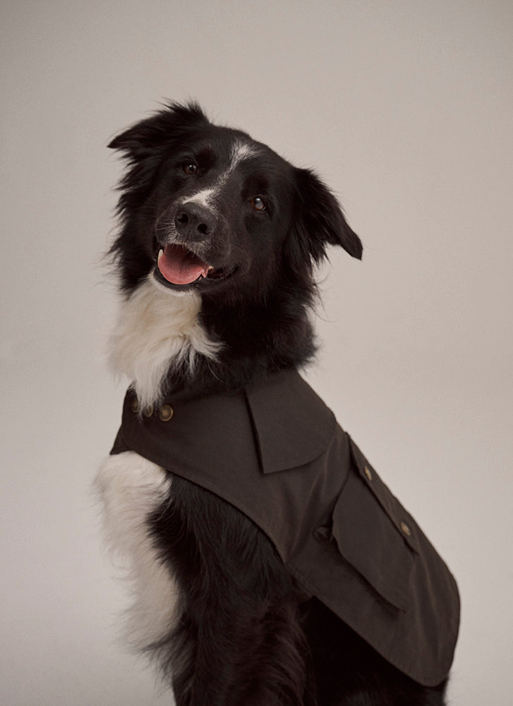 Driza-Bone Apsley Dog Coat Oilskin