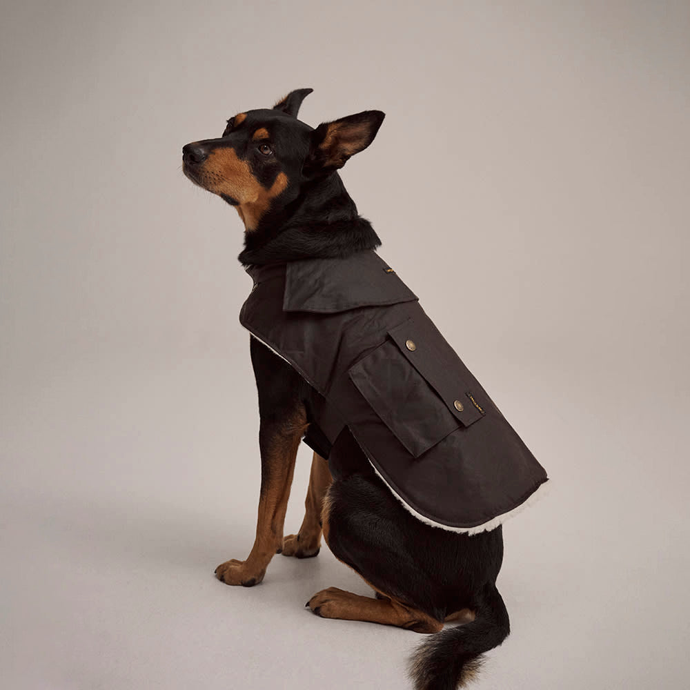 Driza-Bone Ashfield Sherpa Dog Coat