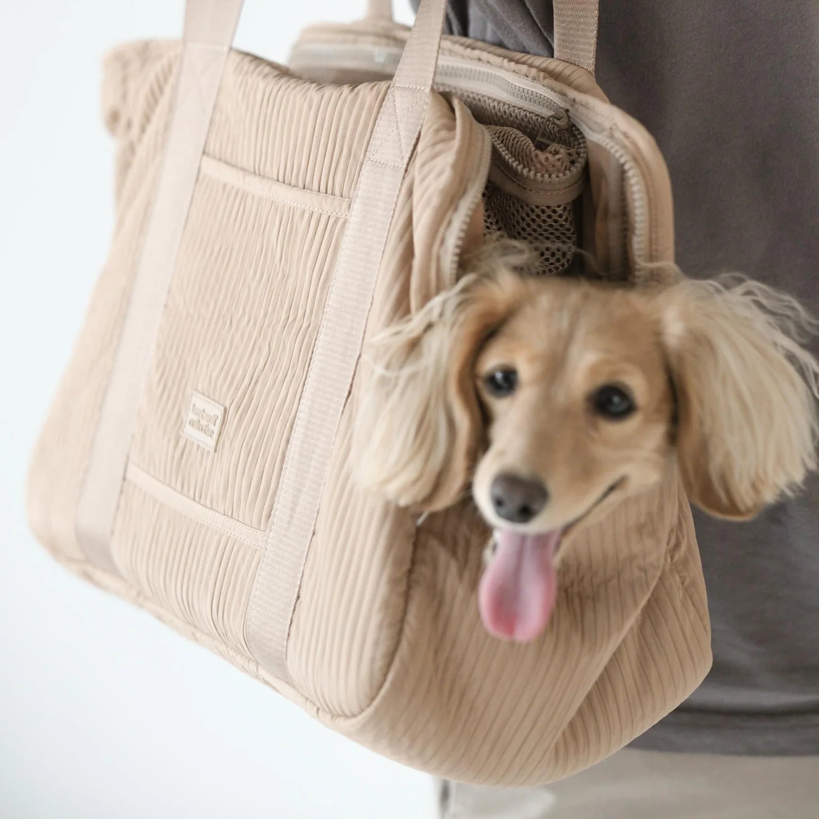 Lambwolf Collective City Pet Carrier