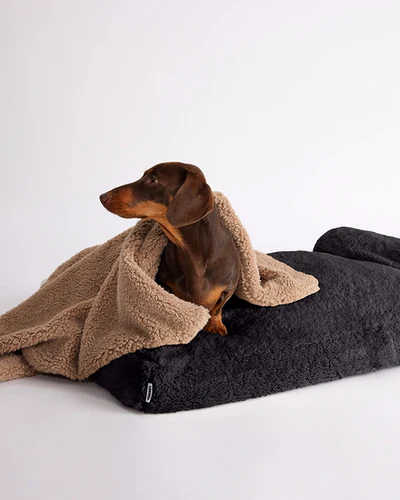 Hommey Boucle Pet Bed