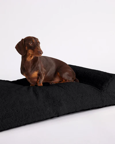 Hommey Boucle Pet Bed