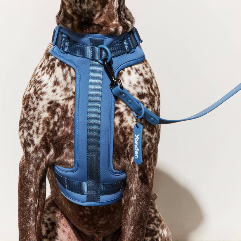 Yonder Harness