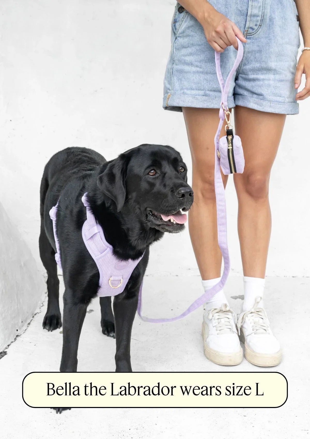 Brucey's Pack Cord No Pull Harness Bella