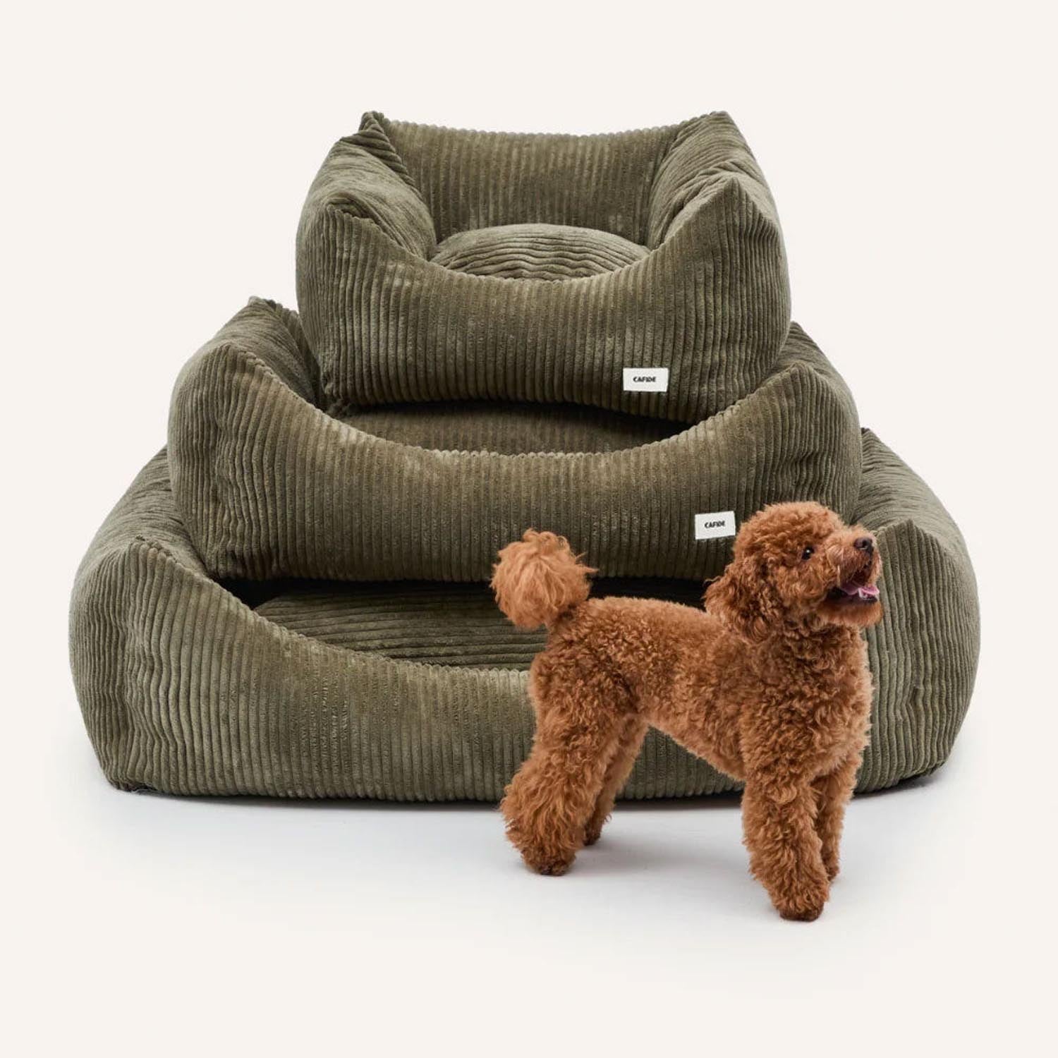 Cafide Snozy Corduroy Bed