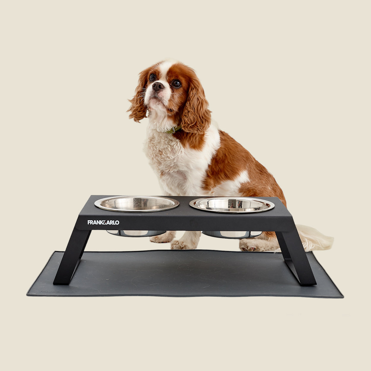 Frank and Arlo Metal Feeders