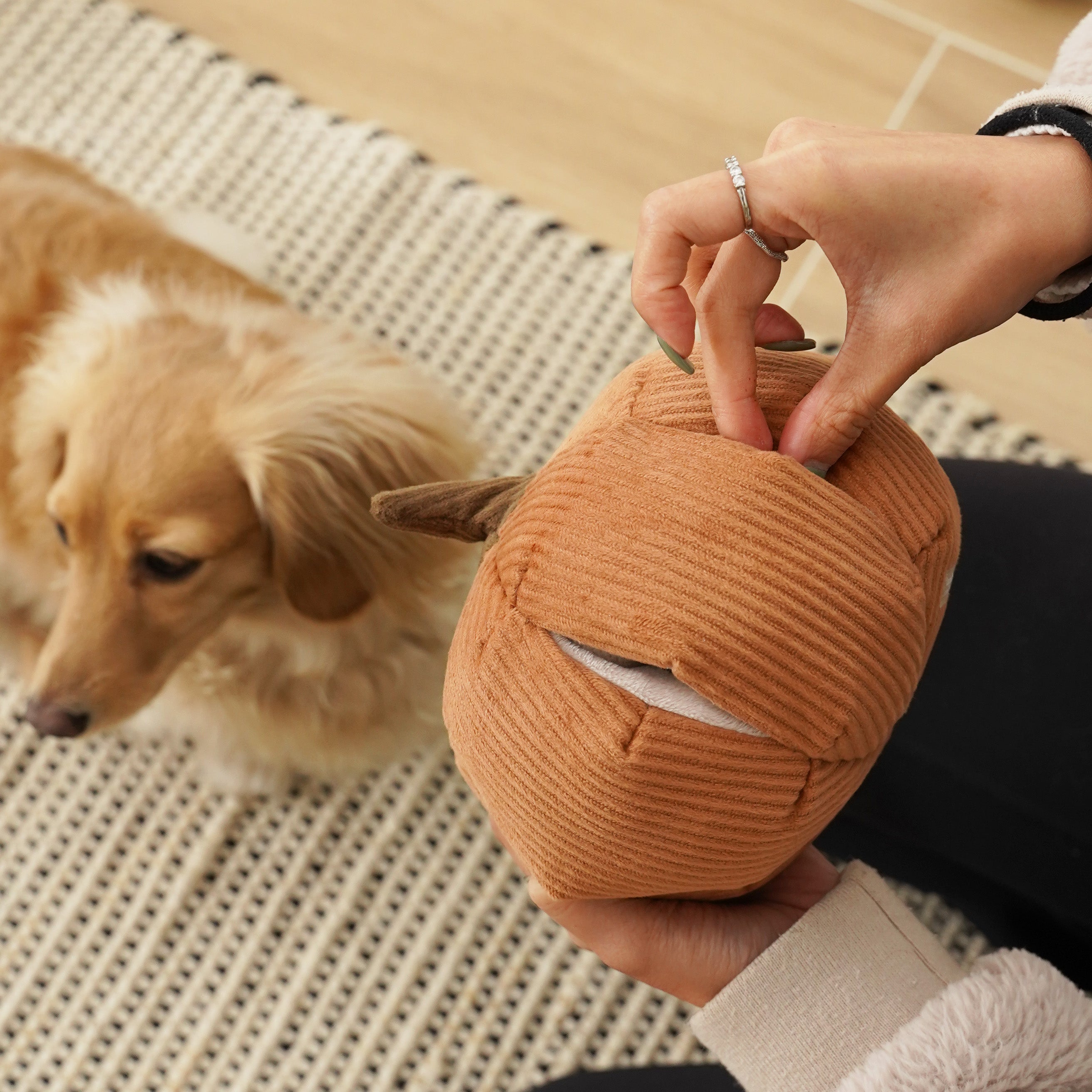 Lambwolf Collective - Cinderella Pumpkin