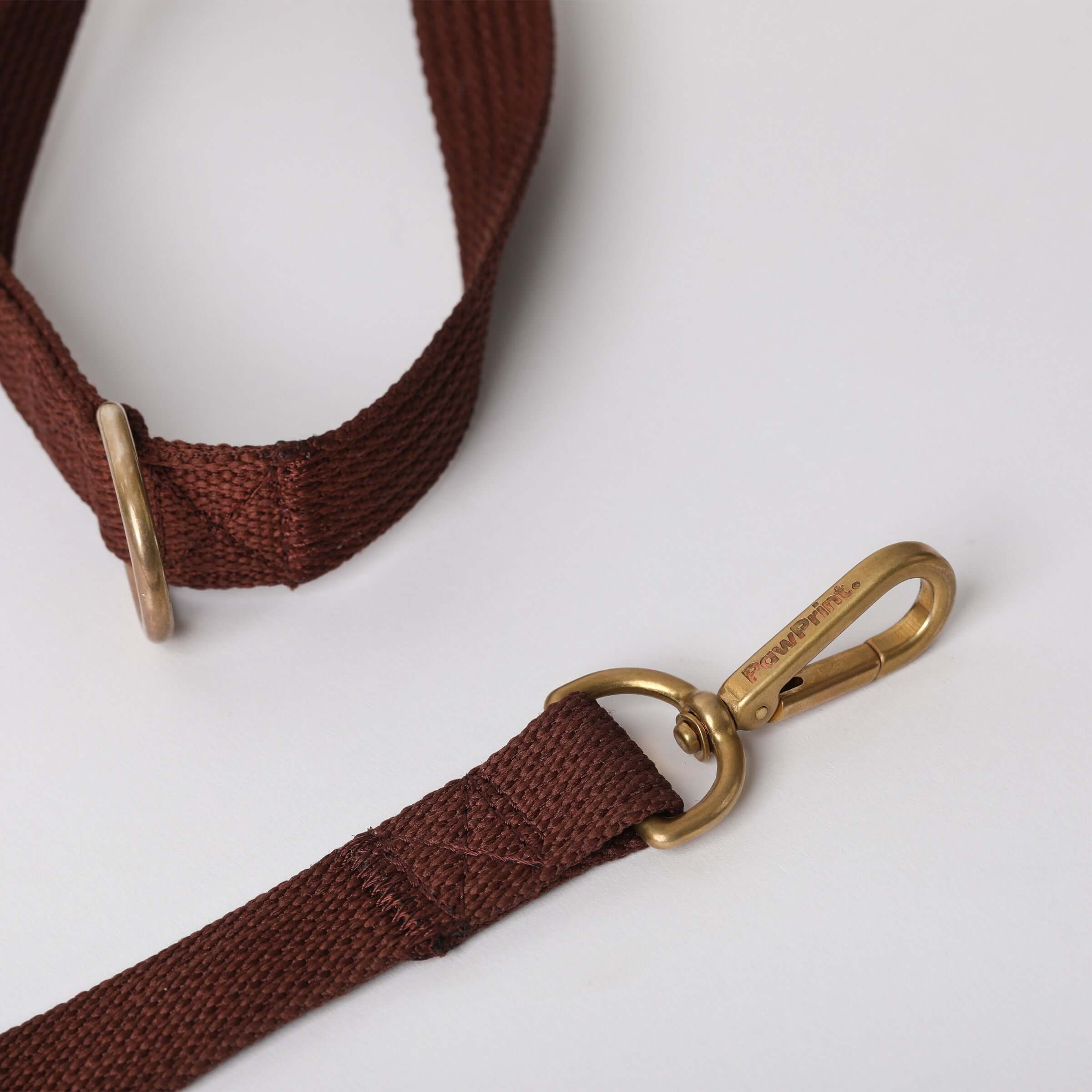Paw Print Tide Leash Earth