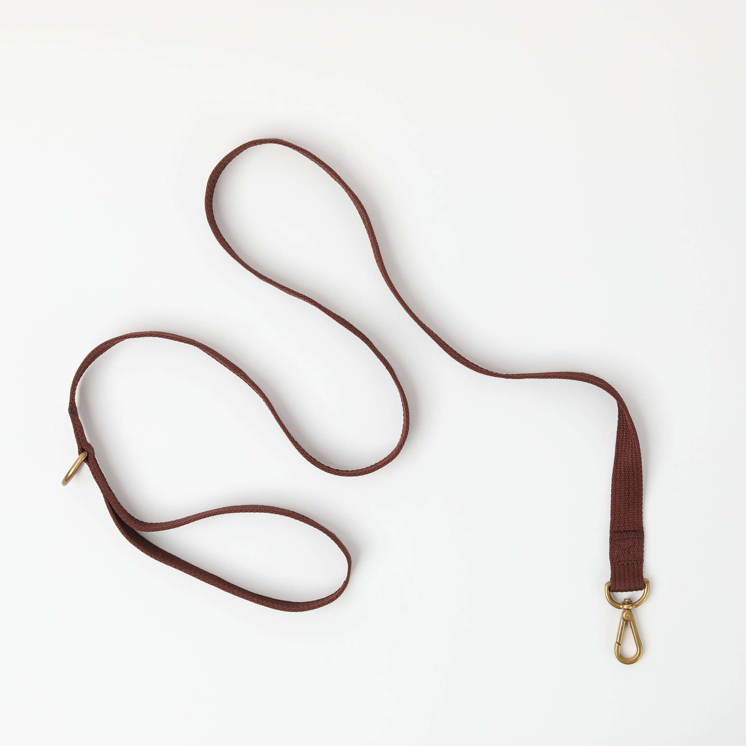 Paw Print Tide Leash Earth