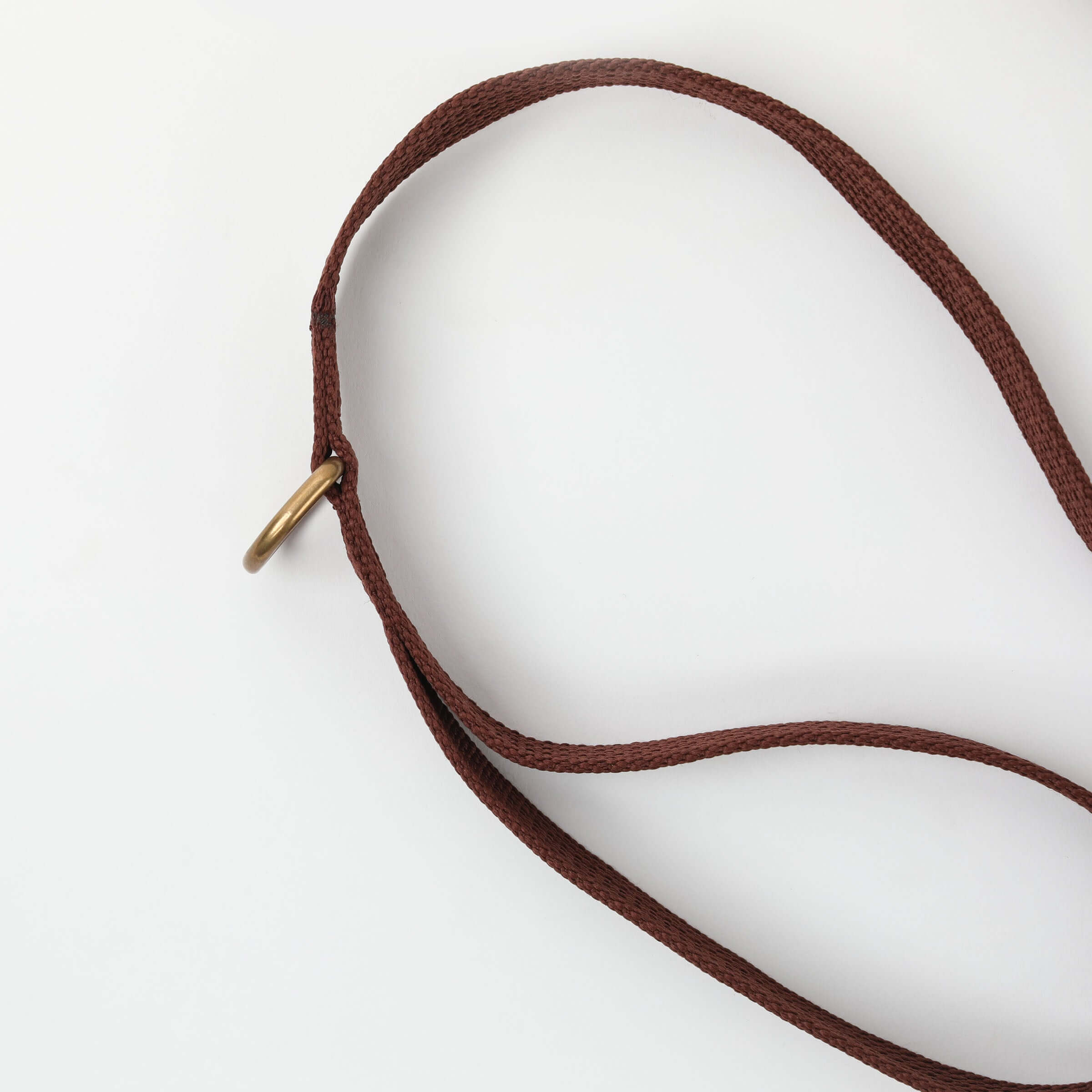 Paw Print Tide Leash Earth