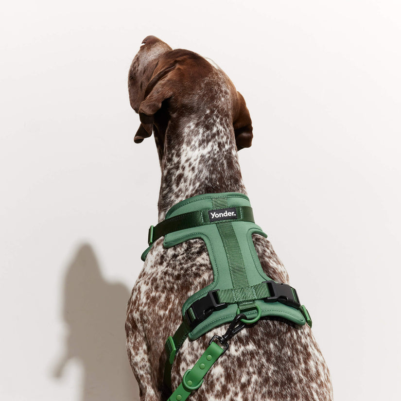 Yonder Harness