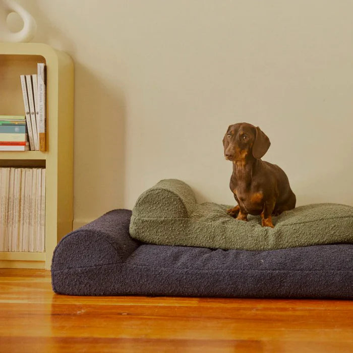 Hommey Boucle Pet Bed