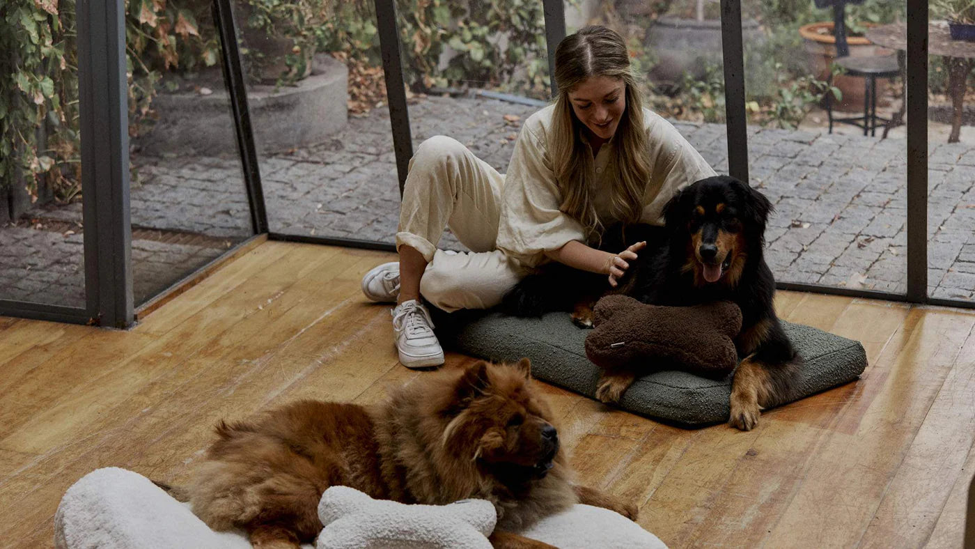 Hommey Boucle Pet Bed