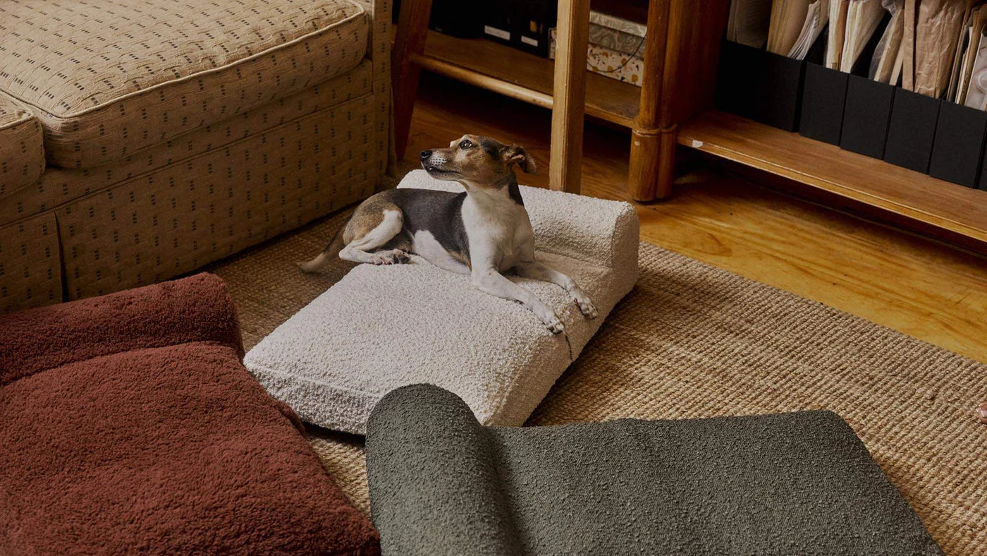 Hommey Boucle Pet Bed