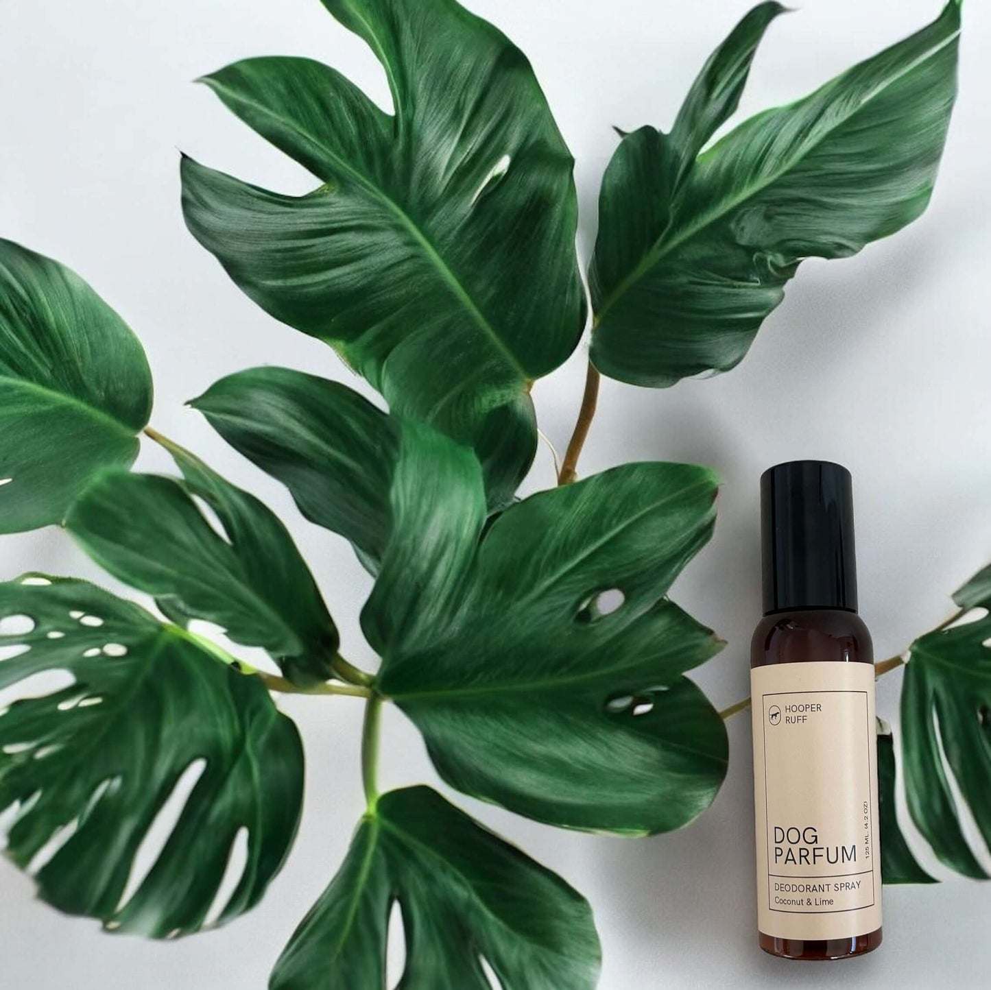 Hooper Ruff Coconut and Lime Parfum