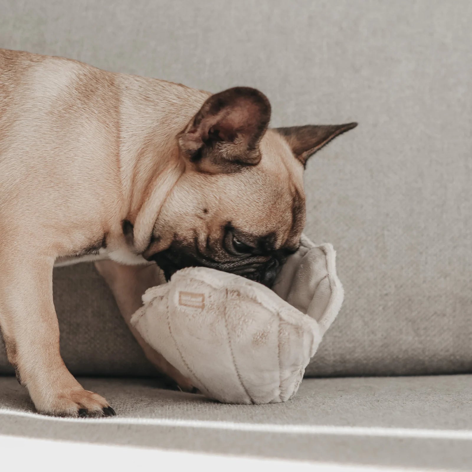 Lambwolf Collective - Oyster