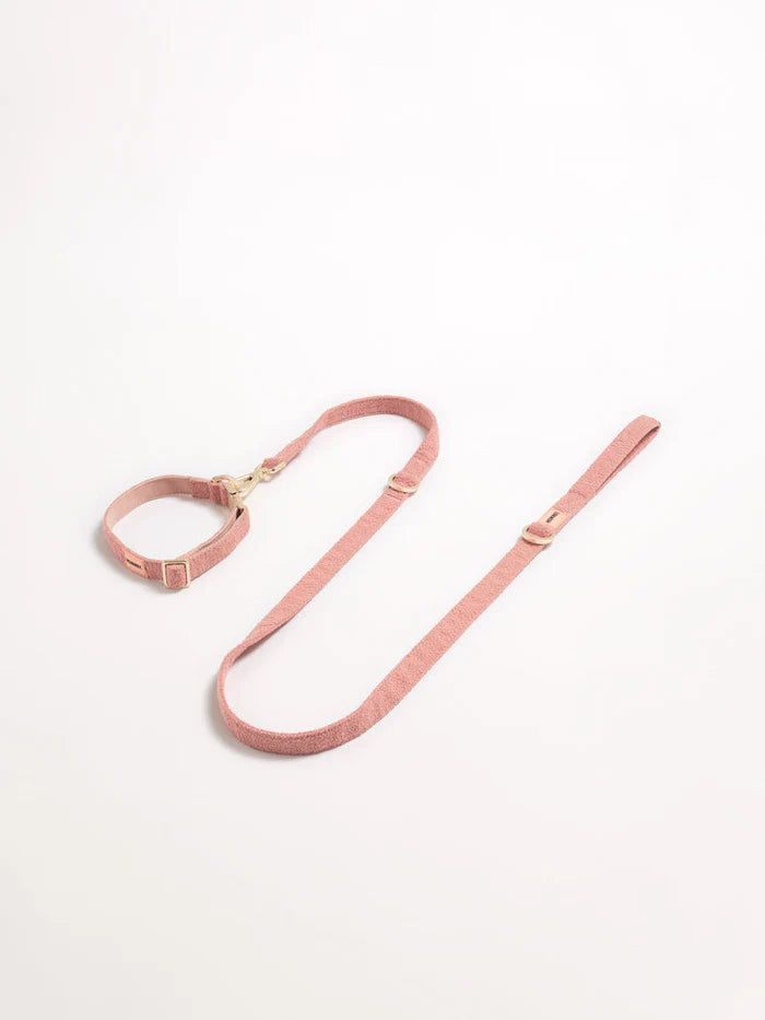 Hommey Boucle Pet Lead